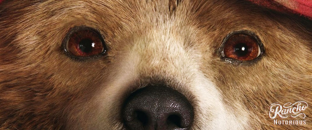 Paddington-Banner