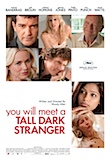 You Will Meet a Tall Dark Stranger poster