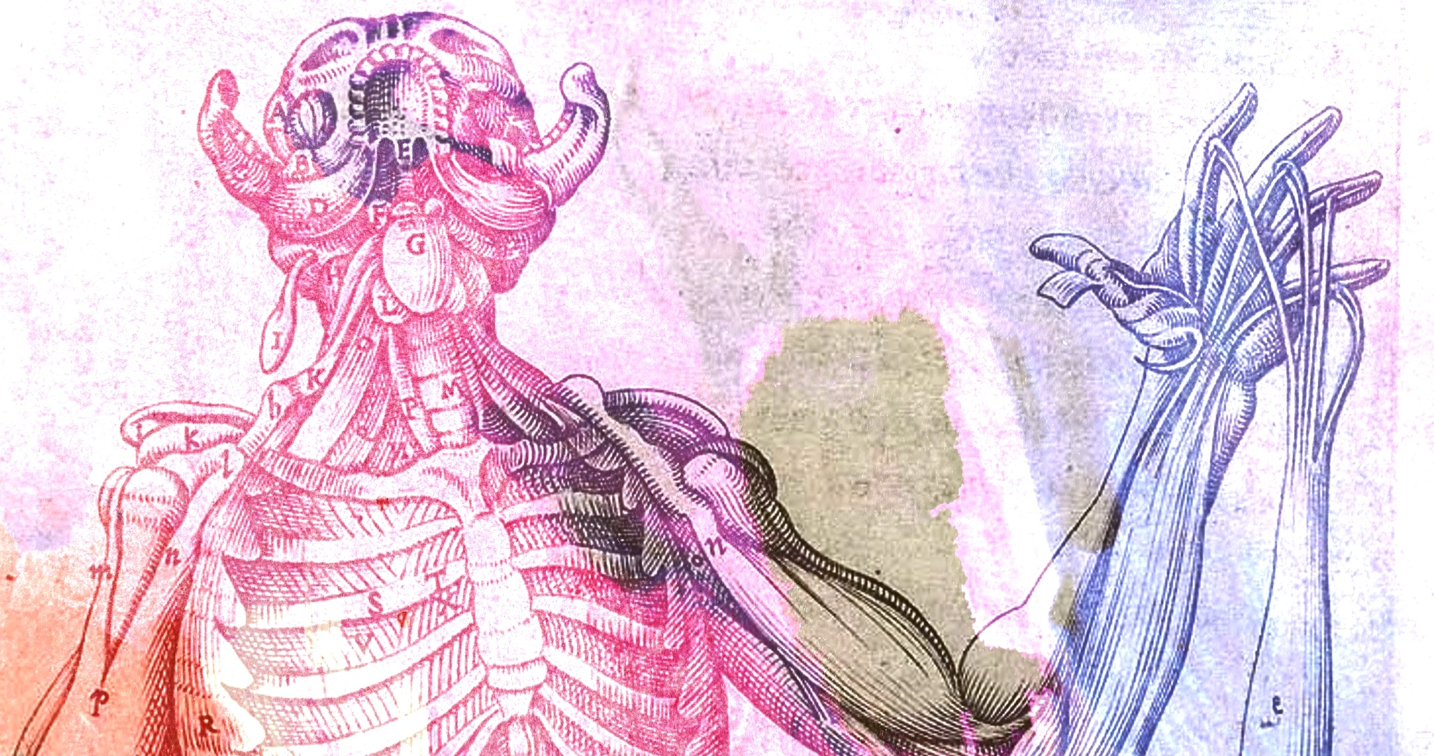 Image from Doug Dillaman's 2024 sci-fi mockumentary Gut Instinct.