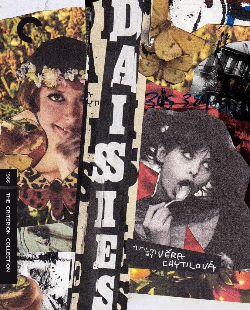 Daisies Criterion Collection cover.