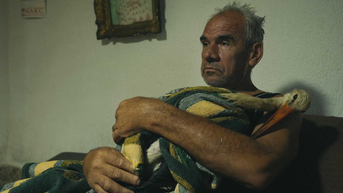 Still from the 2025 Macedonian documentary, The Tale of Silyan.